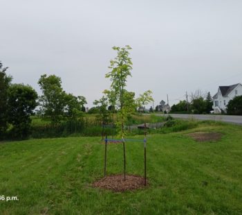 20240625_174653 Medium